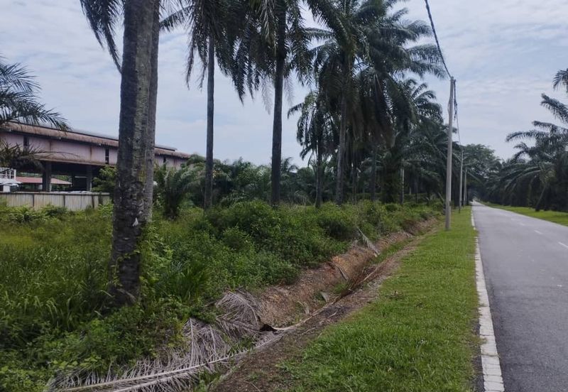 Industrial Land Bukit Changgang, Salak Tinggi, Banting