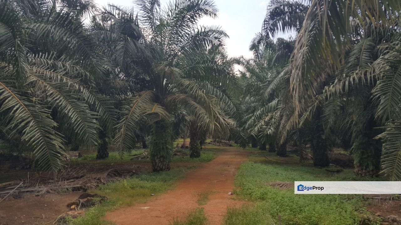 Freehold Industrial Land, Batu 20 Jalan Raja Abdullah, Jeram for Sale, Selangor, Jeram