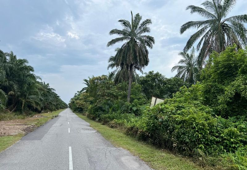 Industrial Zoning Land, Olak Lempit Tanjung Dua Belas, Bukit Changgang Banting, Kuala Langat for Sale