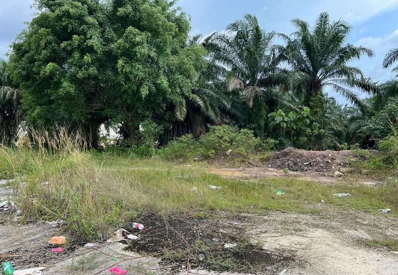 Industrial Zoning Land @ Olak Lempik Tanjung Dua Belas, Banting, Kuala Langat for Sale