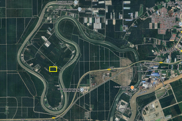 Agricultural Land Telok Mengkuang Panglima Garang