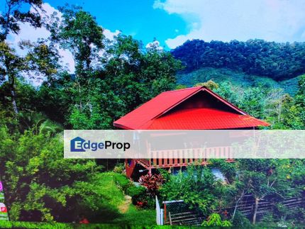 Durian Farm at Mukim Sabai, Bentong, Karak Pahang for Sale, Pahang, Bentong