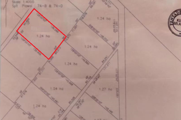 Rancangan Revolusi Hijau Bukit Cerakah, Bukit Ceraka Peringkat 1 - Ijok