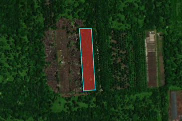 KAMPUNG BATU 8 SIJANGKANG