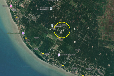 Agricultural Land, Mukim Batu, Tanjung Sepat, Kuala Langat for Sale