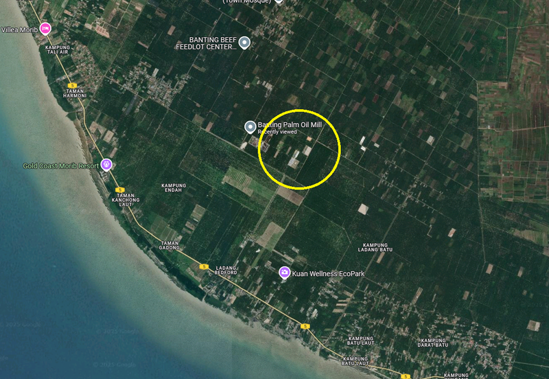 Agricultural Land, Mukim Batu, Tanjung Sepat, Kuala Langat for Sale