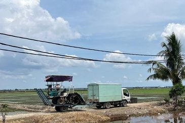 3 Acres Agriculture Land, Jalan Parit 5, Sekinchan, Selangor 