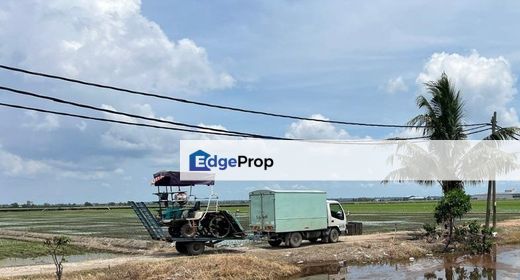 3 Acres Agriculture Land, Jalan Parit 5, Sekinchan, Selangor , Selangor, Sekinchan