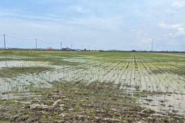 3 Acres Agriculture Land, Jalan Parit 5, Sekinchan, Selangor 