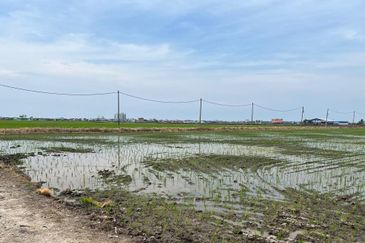 3 Acres Agriculture Land, Jalan Parit 5, Sekinchan, Selangor 