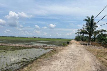 3 Acres Agriculture Land, Jalan Parit 5, Sekinchan, Selangor 