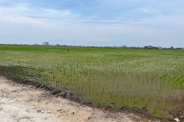 3 Acres Agriculture Land, Jalan Parit 5, Sekinchan, Selangor 