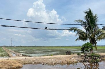 3 Acres Agriculture Land, Jalan Parit 5, Sekinchan, Selangor 