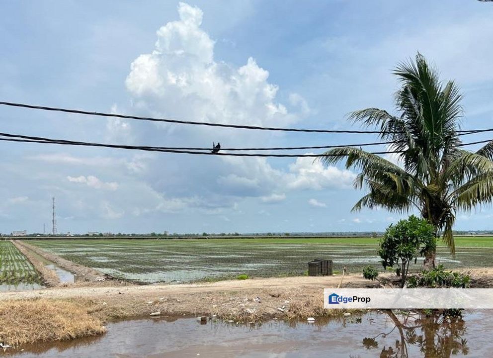 3 Acres Agriculture Land, Jalan Parit 5, Sekinchan, Selangor , Selangor, Sekinchan