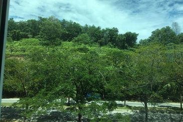 Lake Valley @Avenue 4 , 3 Sty FREEHOLD Bungalow