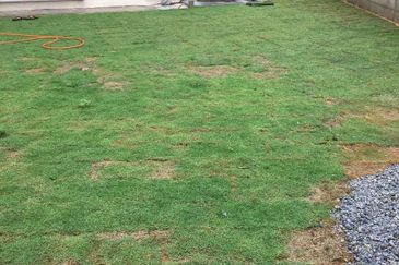 Lake Valley @Avenue 4 , 3 Sty FREEHOLD Bungalow