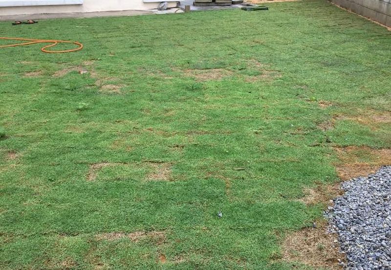 Lake Valley @Avenue 4 , 3 Sty FREEHOLD Bungalow