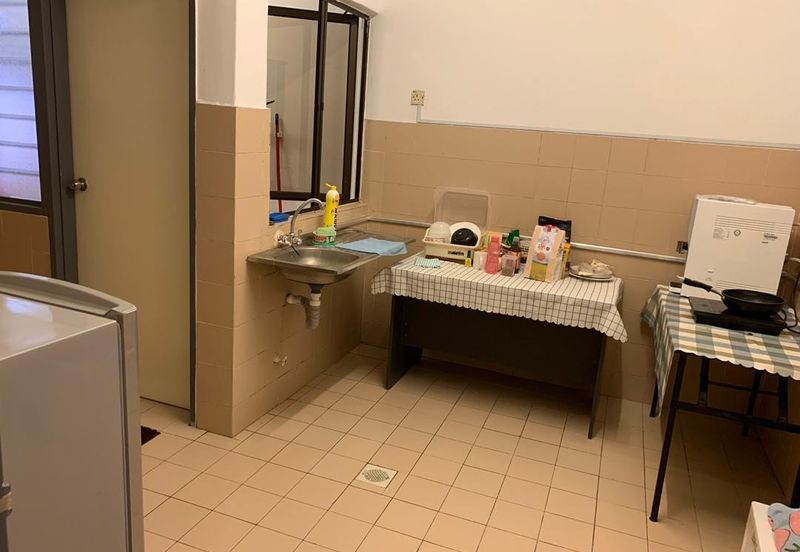 Evergreen Park Acorn and Hazel