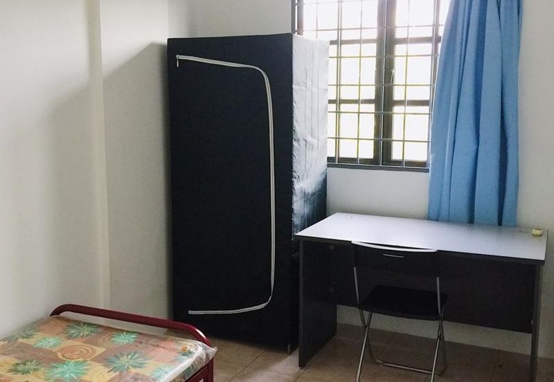 Evergreen Park Acorn and Hazel