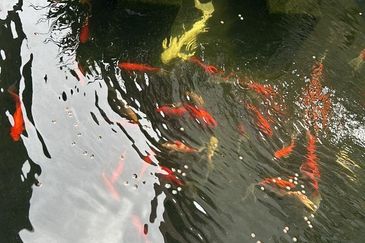 Bandar Mahkota Cheras