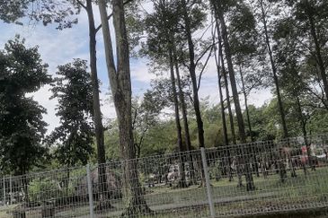 Taman Tun Dr Ismail (TTDI)