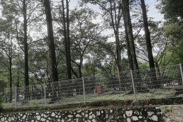 Taman Tun Dr Ismail (TTDI)