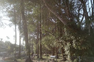 Taman Tun Dr Ismail (TTDI)