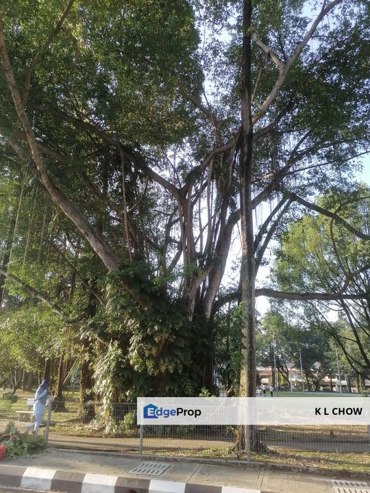 Taman Tun Dr Ismail 60000 Kuala Lumpur , Kuala Lumpur, Taman Tun Dr Ismail