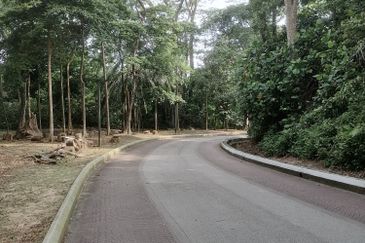 Taman Tun Dr Ismail (TTDI)
