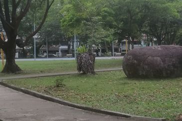 Taman Tun Dr Ismail (TTDI)