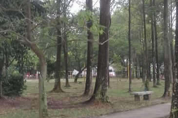 Taman Tun Dr Ismail (TTDI)