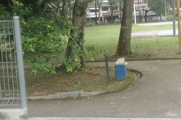 Taman Tun Dr Ismail (TTDI)