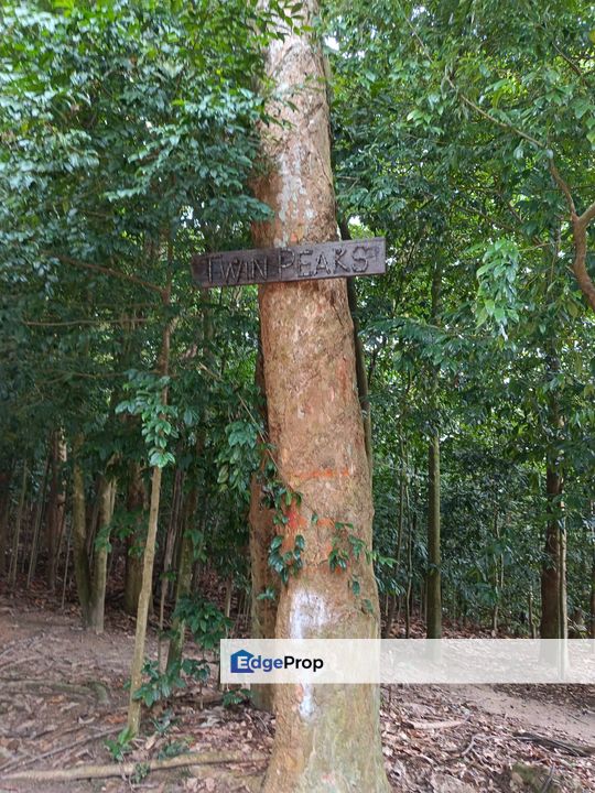 Taman Tun Dr Ismail bungalow , Kuala Lumpur, Taman Tun Dr Ismail