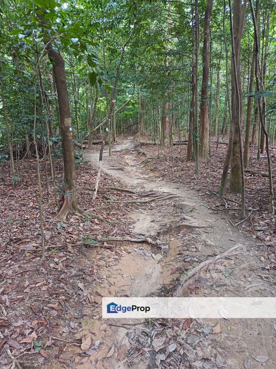 Taman Tun Dr Ismail bungalow , Kuala Lumpur, Taman Tun Dr Ismail