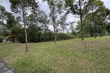 Ivy Terrace & Clover Park Denai Alam