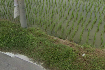 Agriculture Freehold Land Bandar Jitra