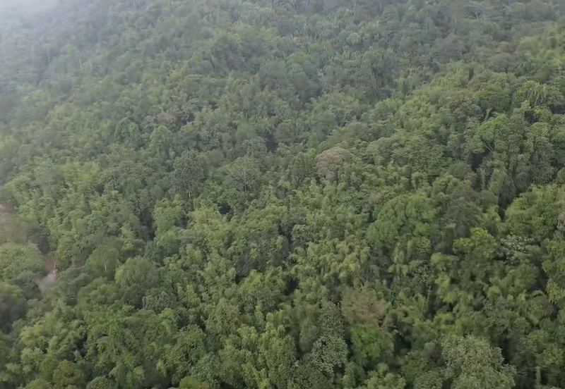 Agri Land 128Acre Jalan Ulu Yam Batu Caves