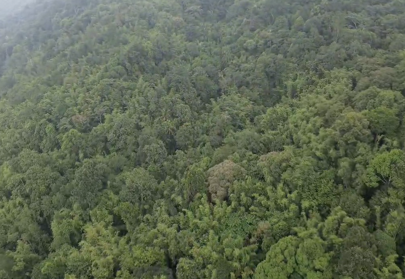 Agri Land 128Acre Jalan Ulu Yam Batu Caves