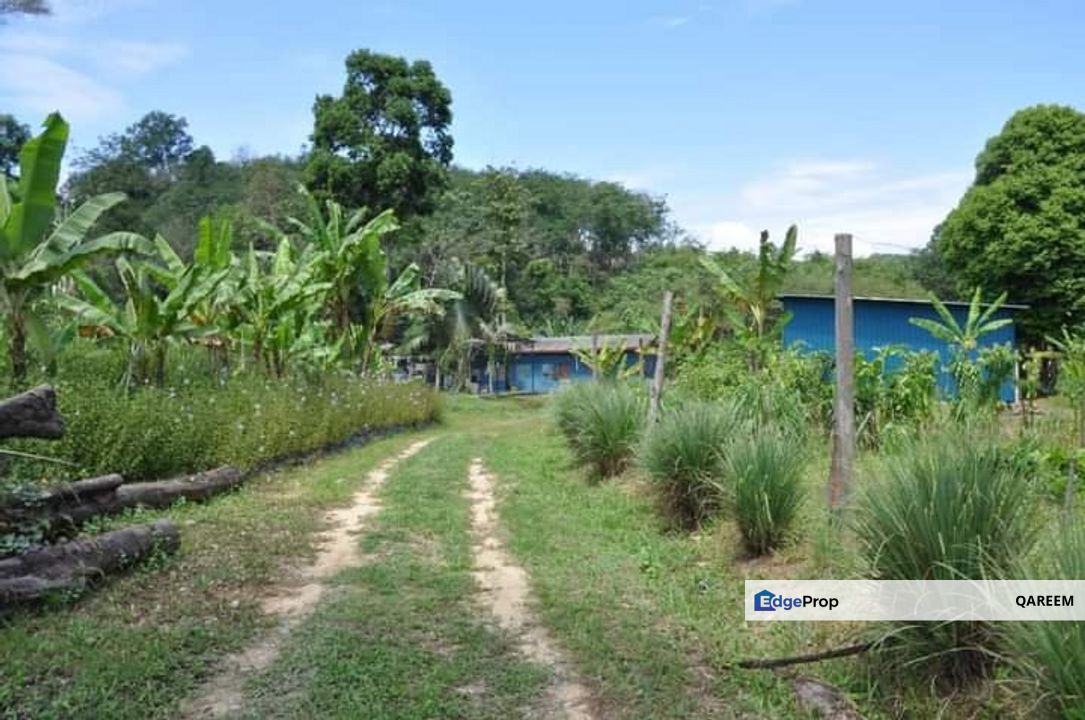 Tanah 4.4 ekar Batang kali - Jalan Genting highlan, Selangor, Hulu Selangor