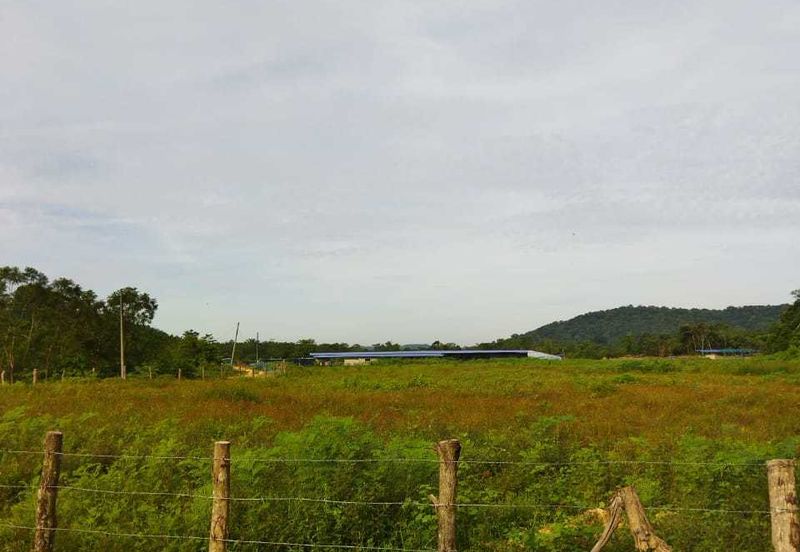 KAWASAN SUNGAI BUAYA