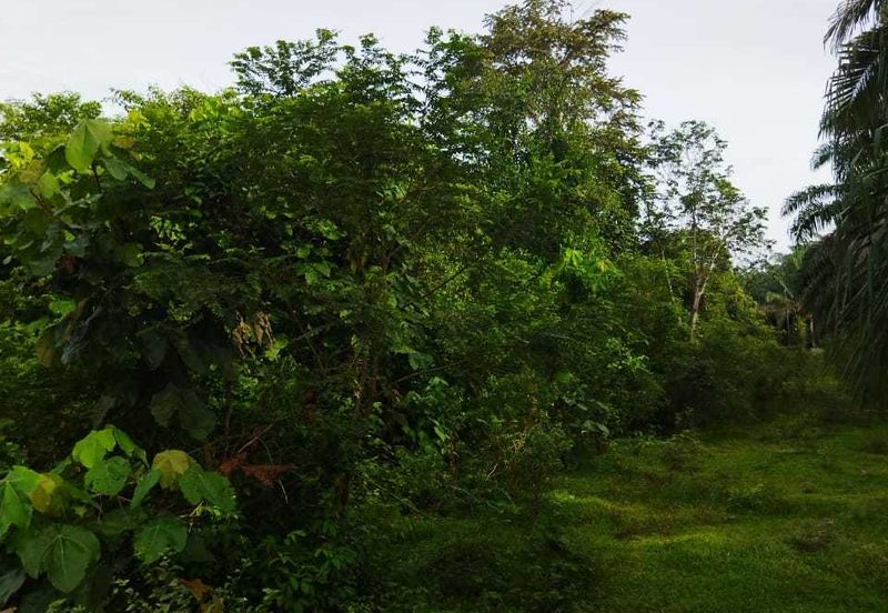 KAWASAN SUNGAI BUAYA