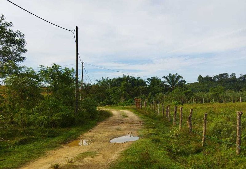 KAWASAN SUNGAI BUAYA