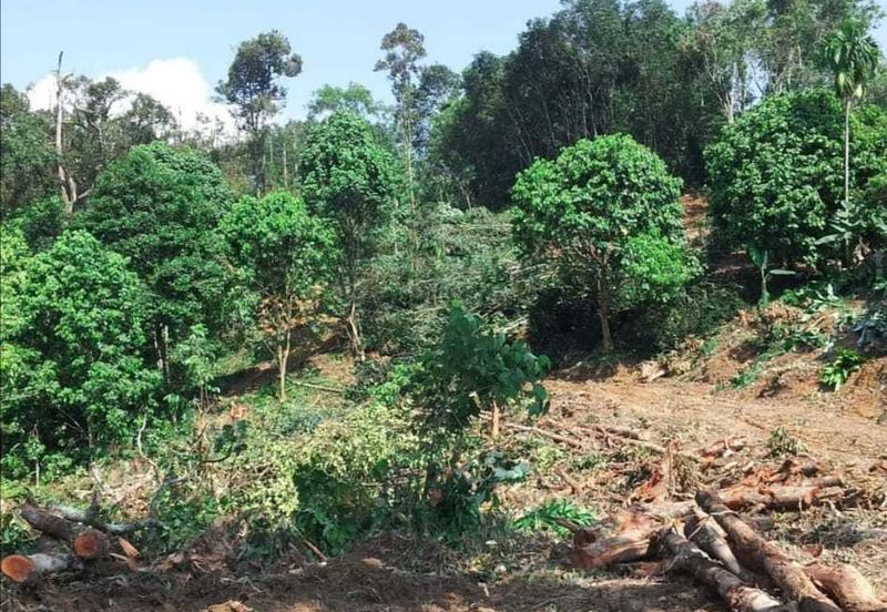 1.7 Ekar Batu 14 Hulu Langat. Selangor. Berhampiran Jalan Utama