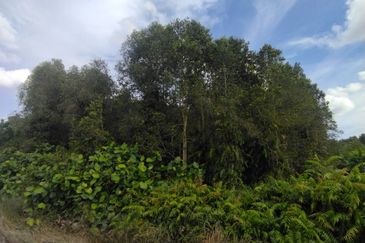 Bandar Baru Salak Tinggi