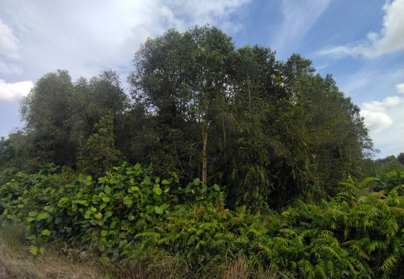 Bandar Baru Salak Tinggi