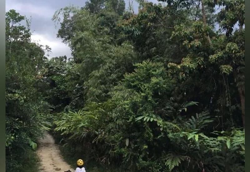 6.1 Ekar Janda Baik Bentong Pahang. Sesuai untuk dusun durian
