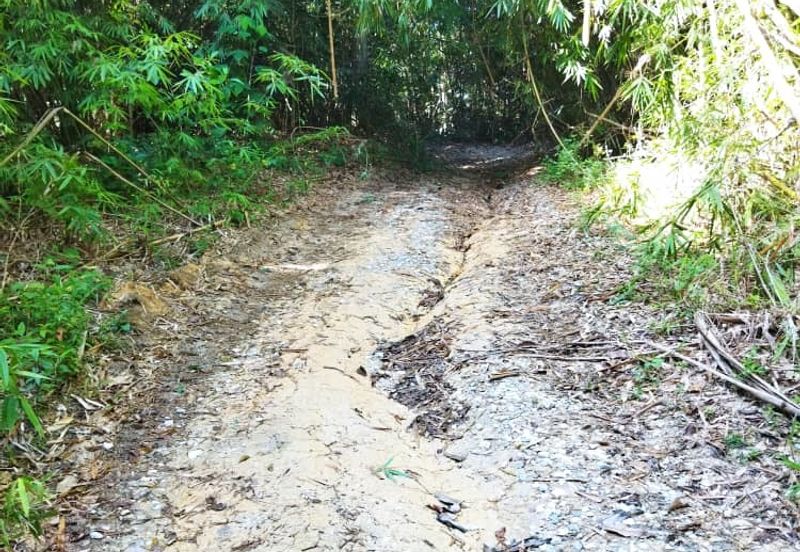 6.1 Ekar Janda Baik Bentong Pahang. Sesuai untuk dusun durian