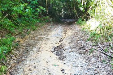 6.1 Ekar Janda Baik Bentong Pahang. Sesuai untuk dusun durian