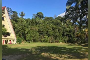 6.1 Ekar Janda Baik Bentong Pahang. Sesuai untuk dusun durian