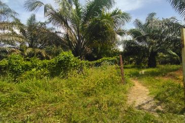 Tanah 4 Ekar Non Bumi Ulu Yam Batang Kali. Landai.